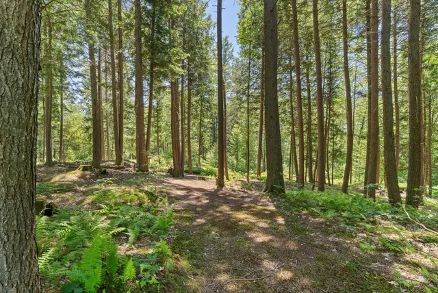 $1,450,000 | 515 Shattuck Hill Road, Unit 515 513 & 511, West Windsor, VT 05062