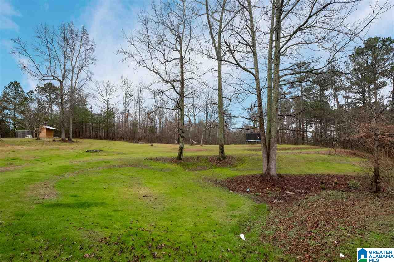 2481 County Road 29 Oneonta, AL 35121 - Photo 32 of 35