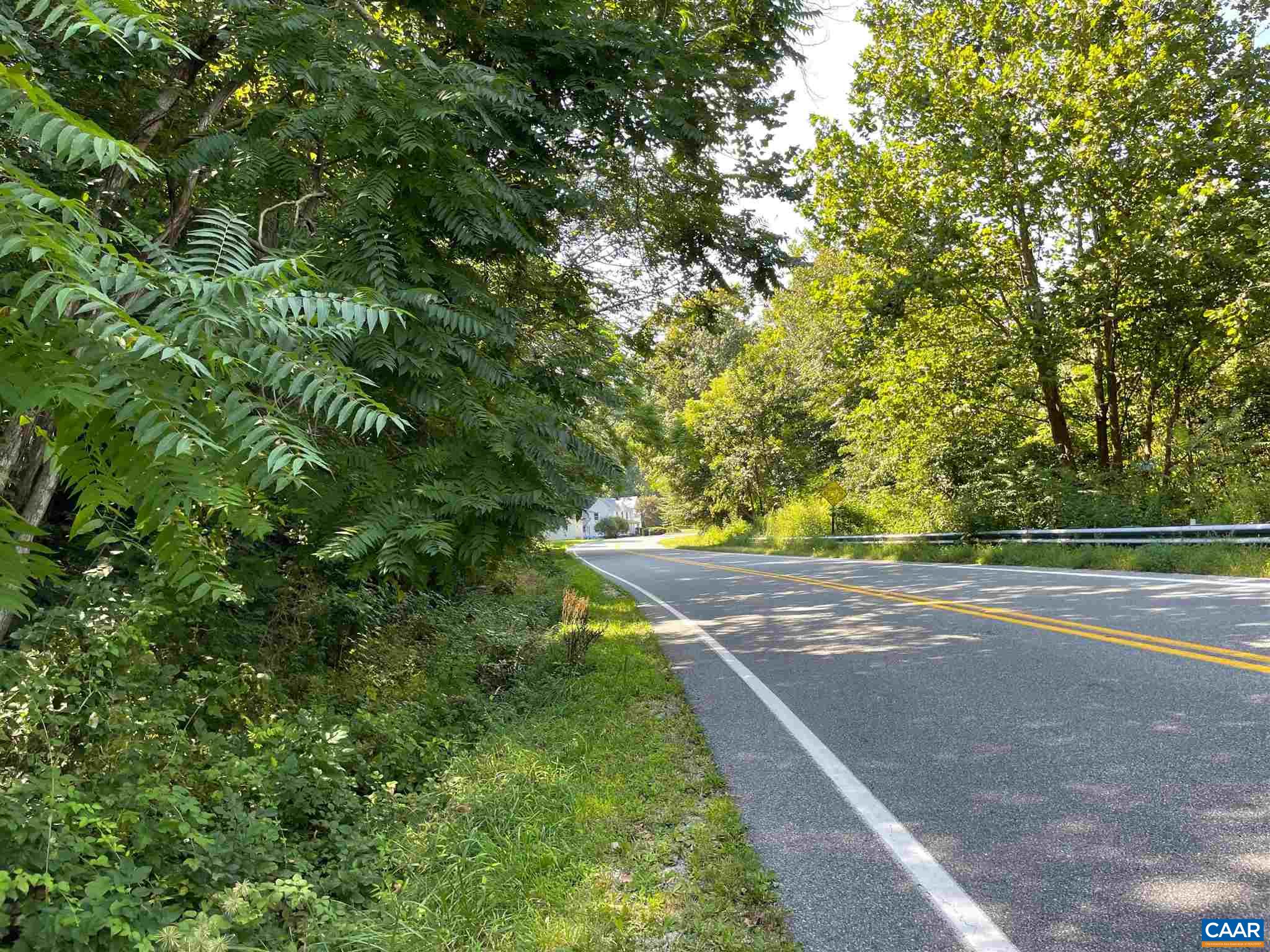Tbd Beech Grove Road Roseland, VA 22967 - Photo 11 of 15 a view of a yard with plants and large trees