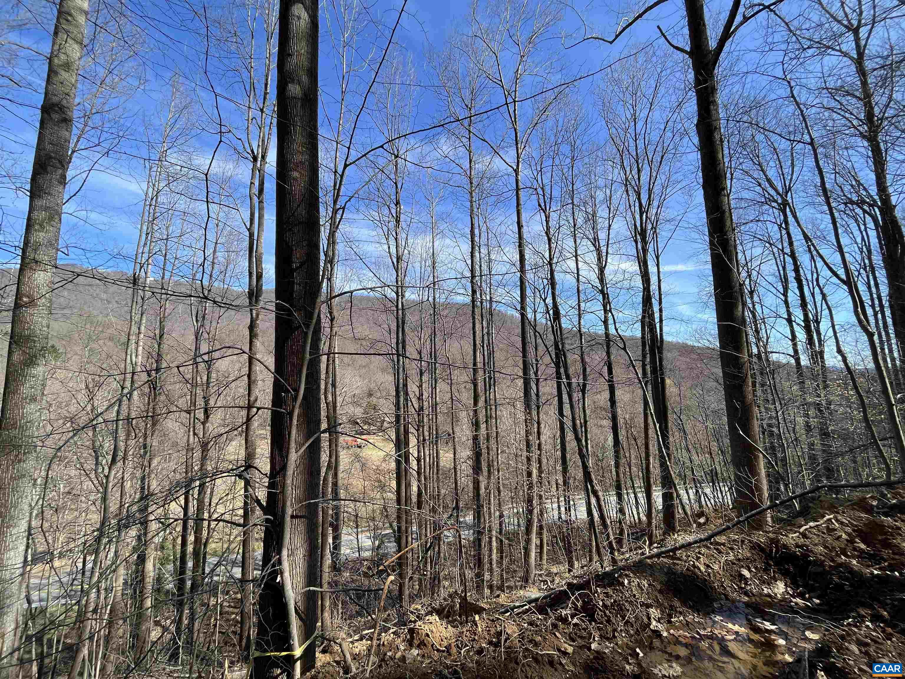 Tbd Beech Grove Road Roseland, VA 22967 - Photo 12 of 15 a view of a forest
