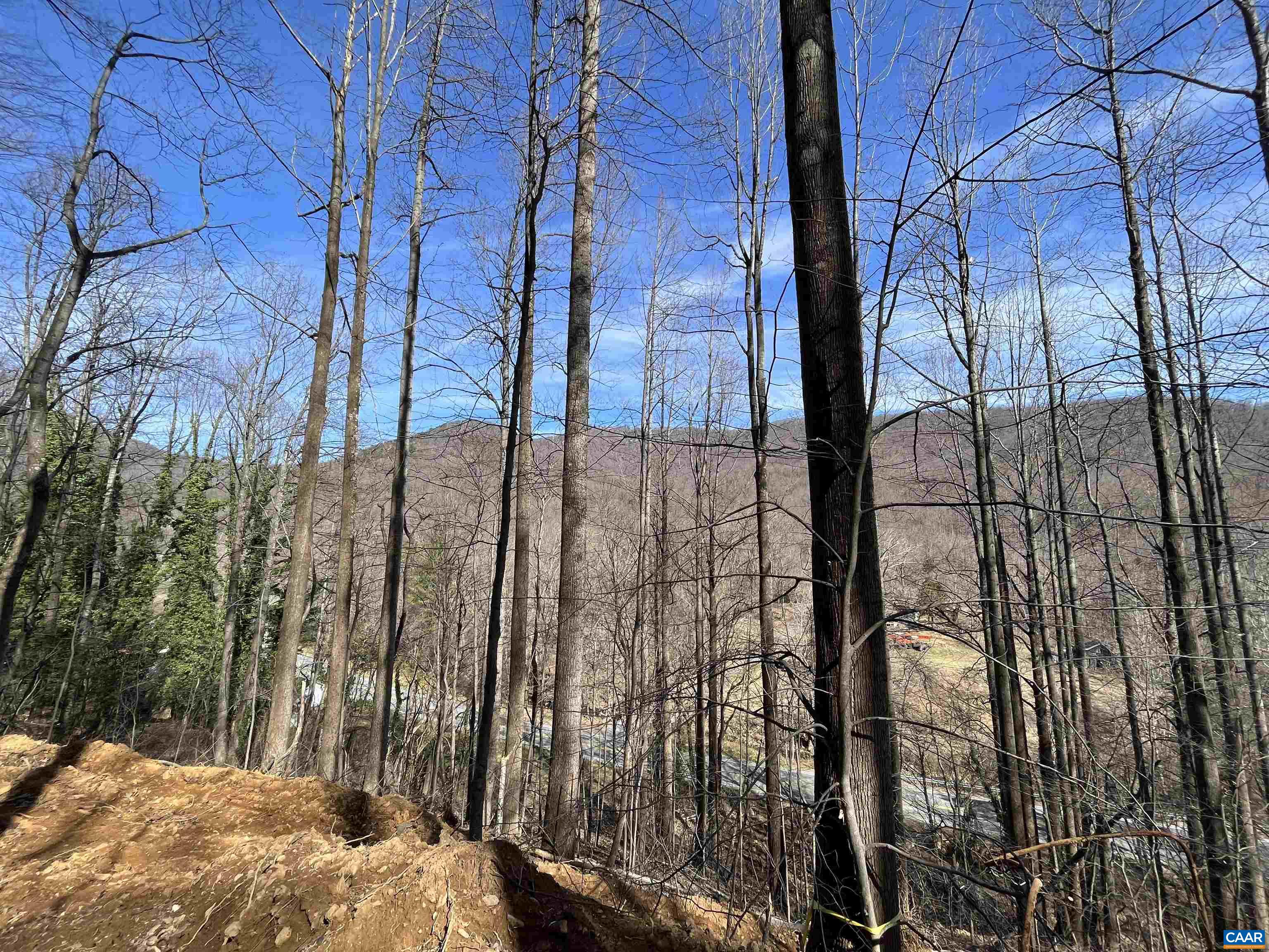 Tbd Beech Grove Road Roseland, VA 22967 - Photo 3 of 15 a view of ocean