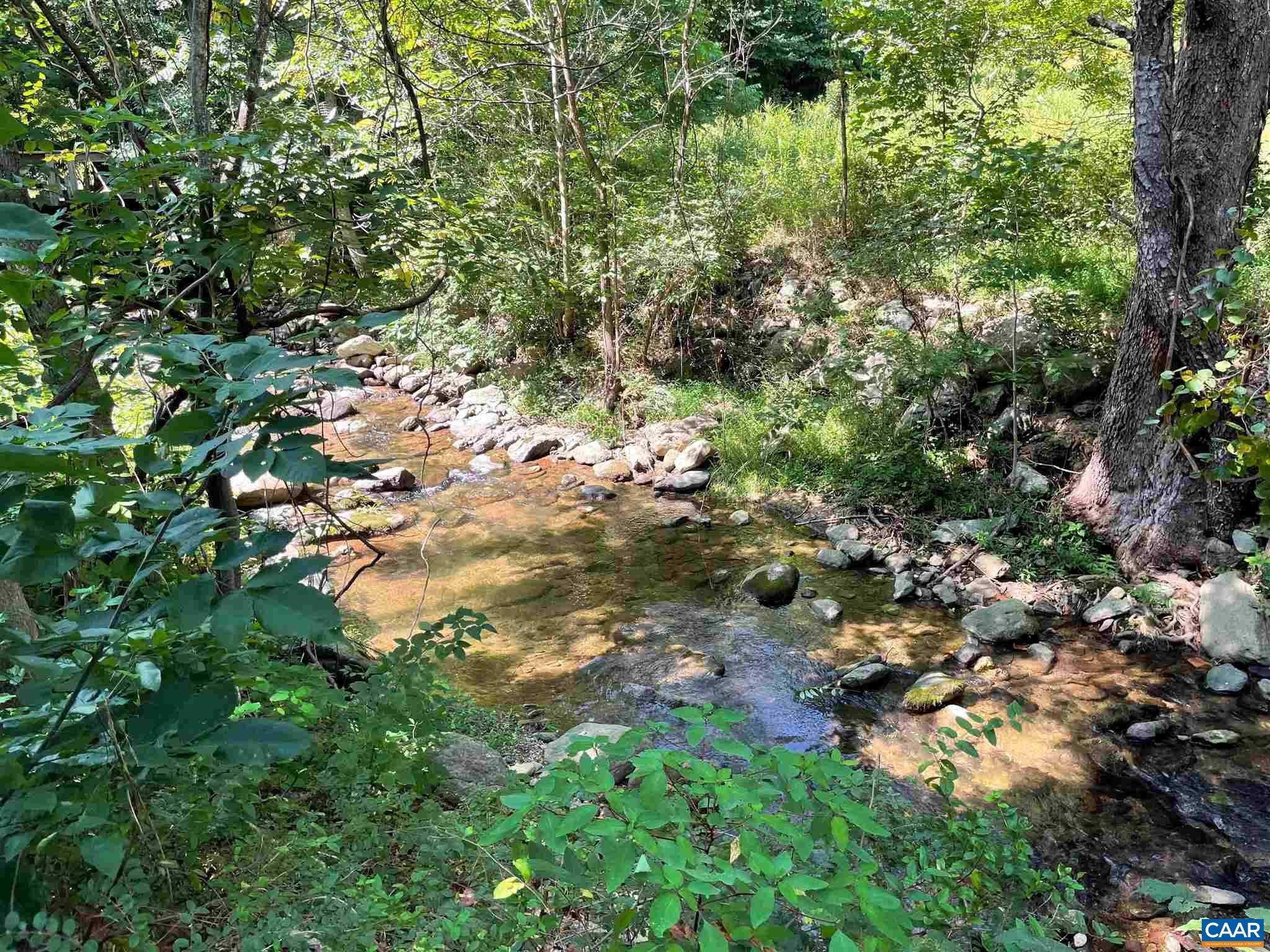 Tbd Beech Grove Road Roseland, VA 22967 - Photo 5 of 15 a view of a tree