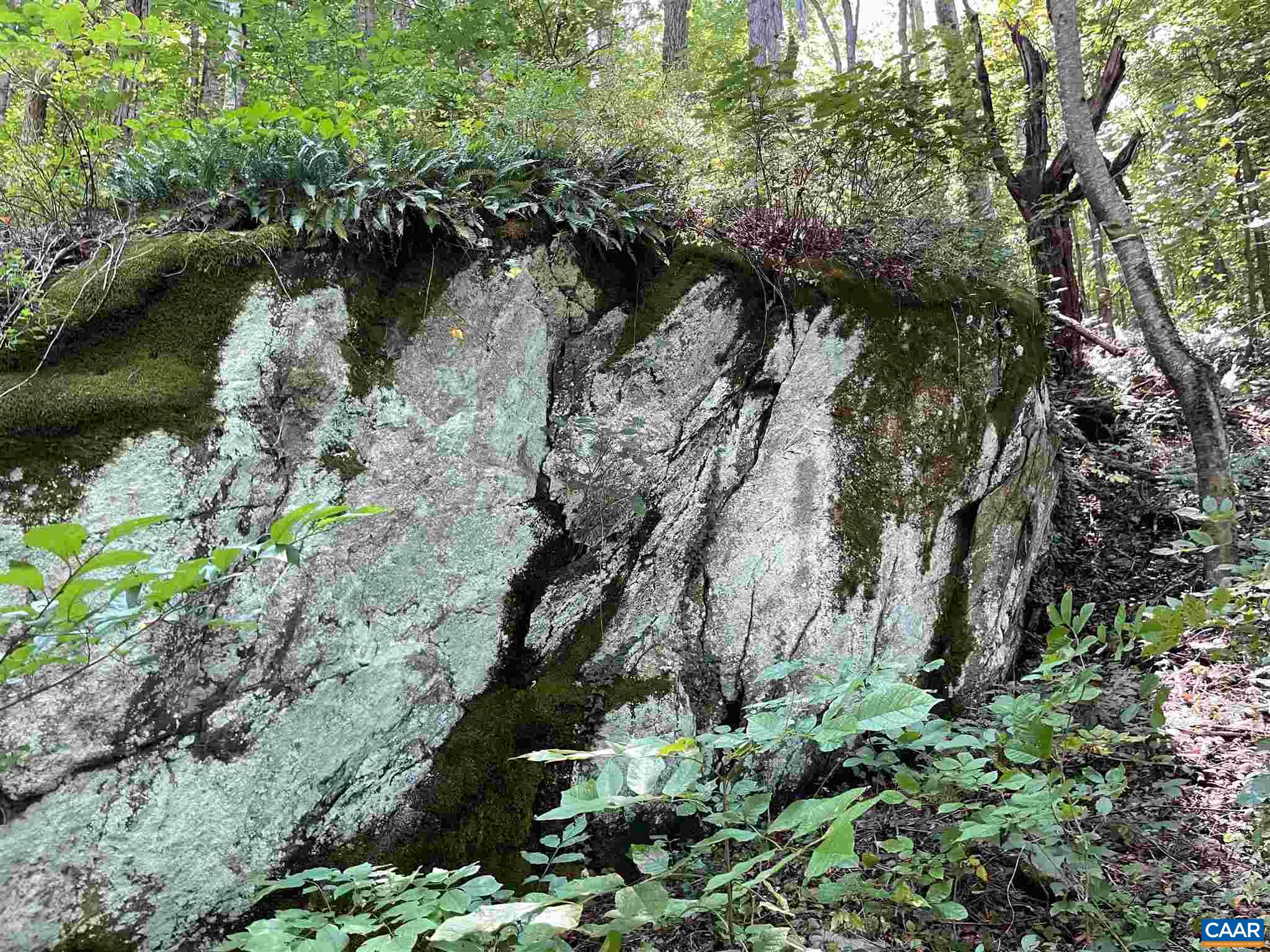 Tbd Beech Grove Road Roseland, VA 22967 - Photo 6 of 15 a view of a lake with top of house