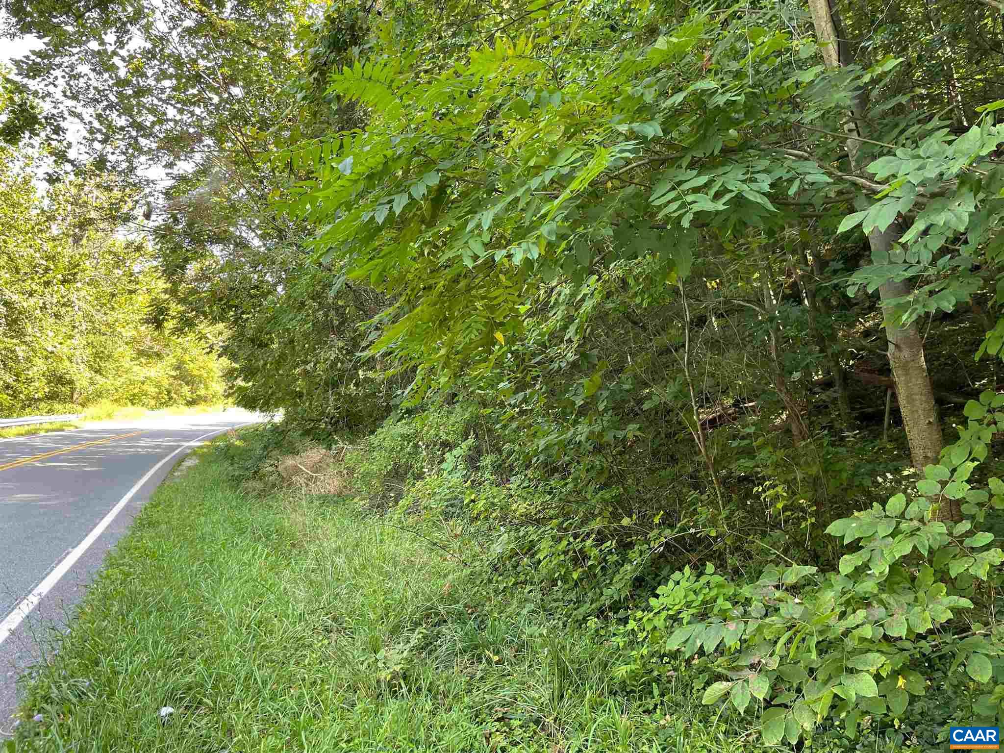 Tbd Beech Grove Road Roseland, VA 22967 - Photo 10 of 15 a view of a yard with a tree