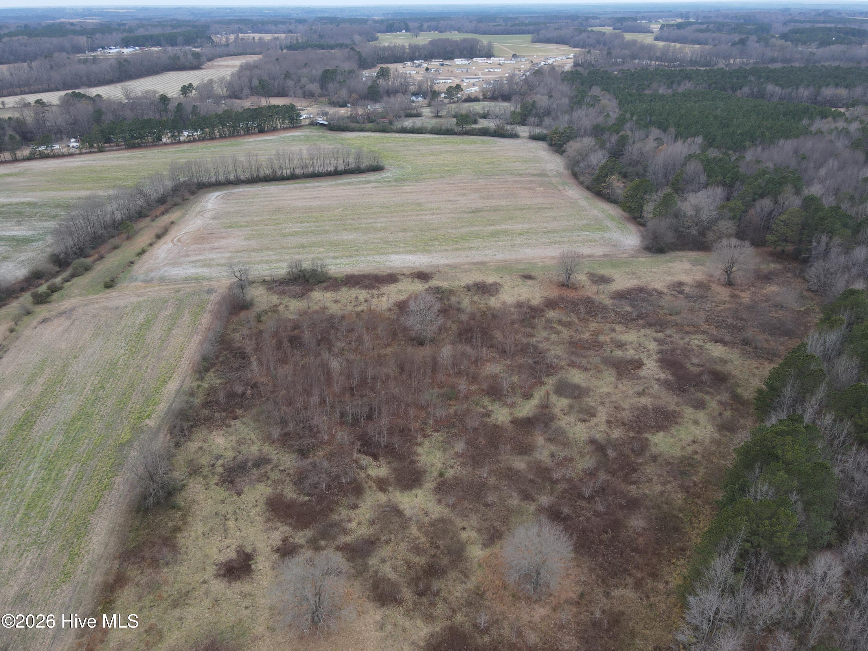 8201 Cedar Grove School Loop Road Nashville, NC 27856 - Photo 40 of 68 CG MLS 40