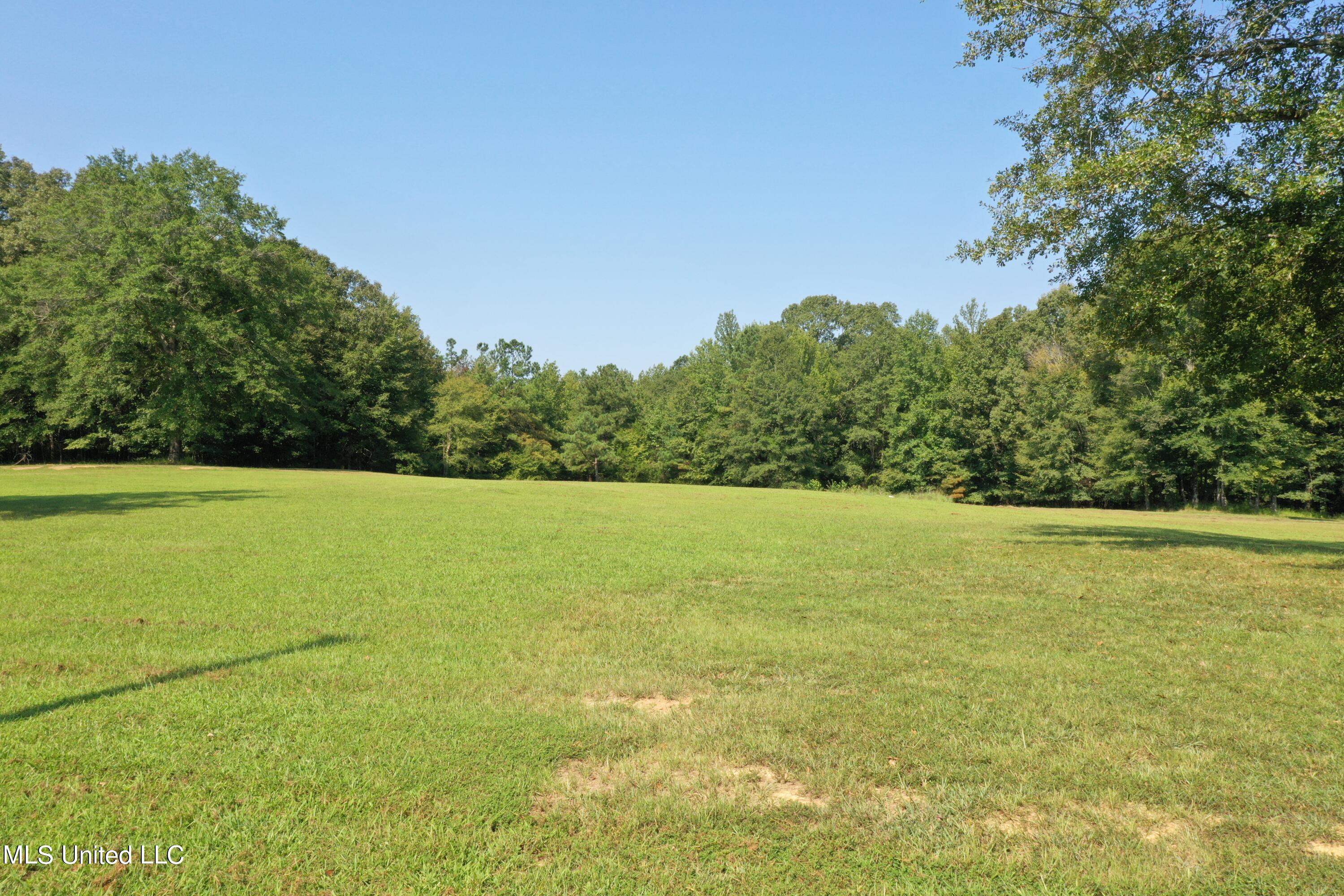 1520 Wildcat Bottom Road Red Banks, MS 38661 - Photo 23 of 42 DJI_0232