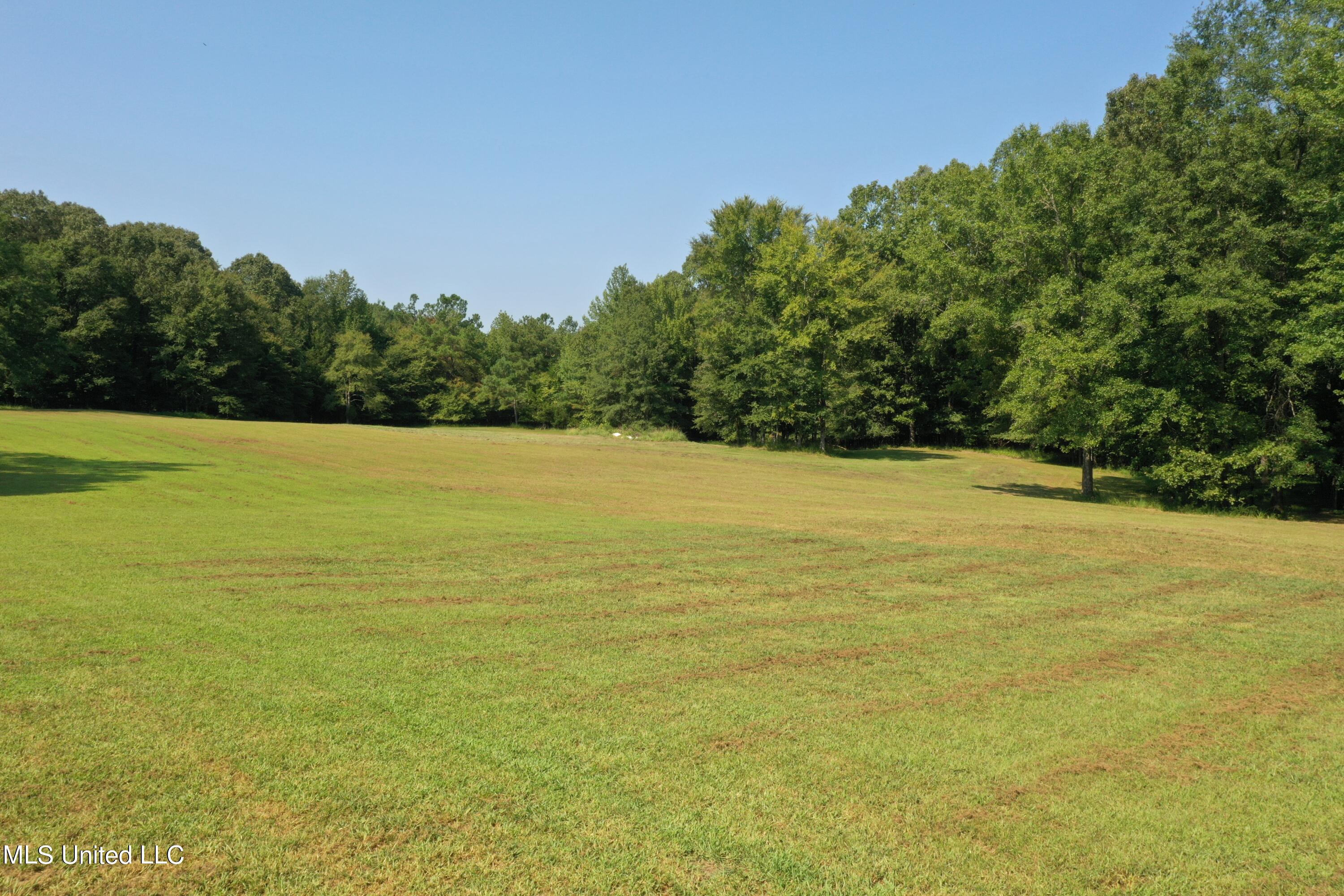 1520 Wildcat Bottom Road Red Banks, MS 38661 - Photo 24 of 42 DJI_0235
