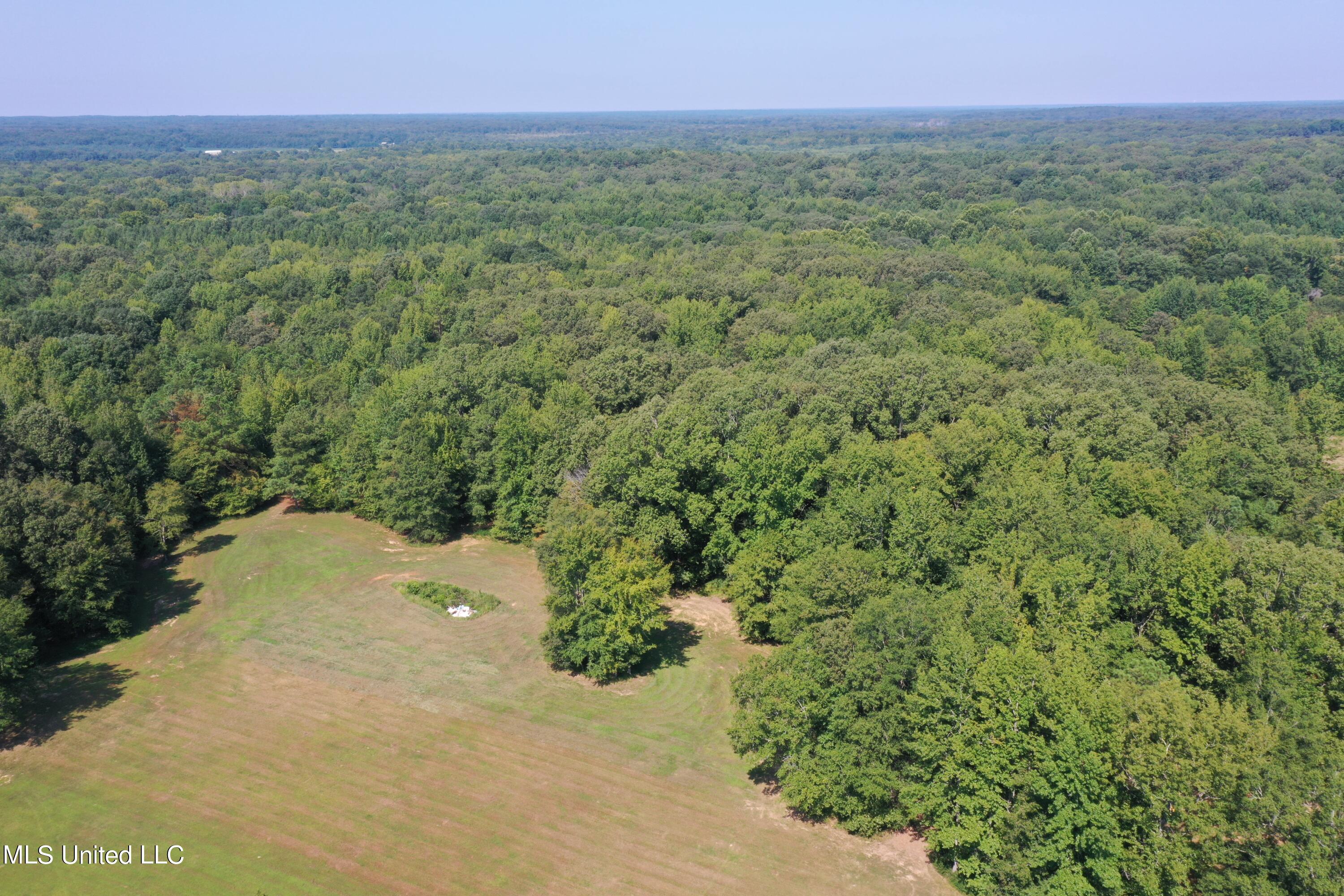 1520 Wildcat Bottom Road Red Banks, MS 38661 - Photo 25 of 42 DJI_0239