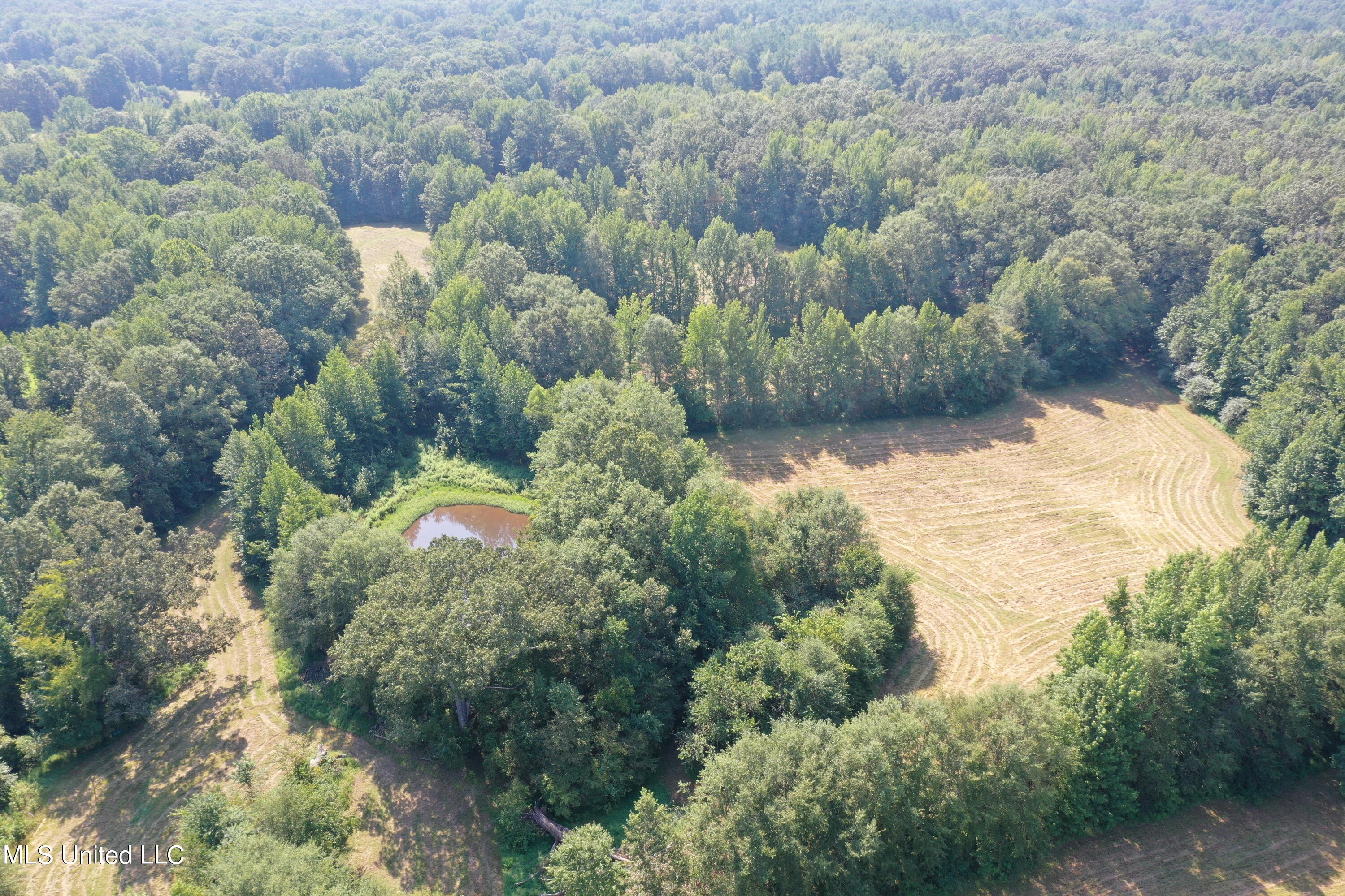1520 Wildcat Bottom Road Red Banks, MS 38661 - Photo 26 of 42 DJI_0242
