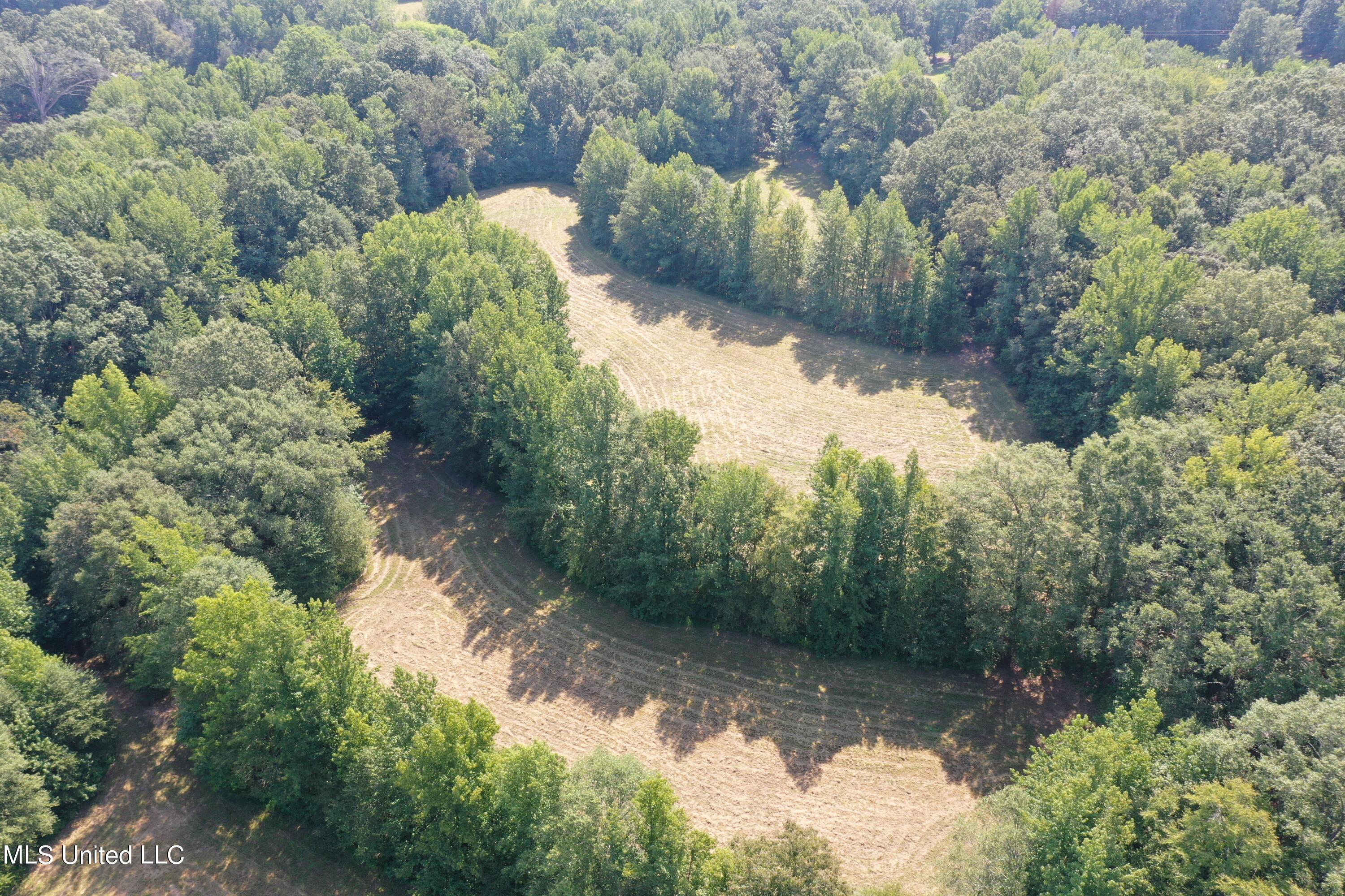 1520 Wildcat Bottom Road Red Banks, MS 38661 - Photo 28 of 42 DJI_0244