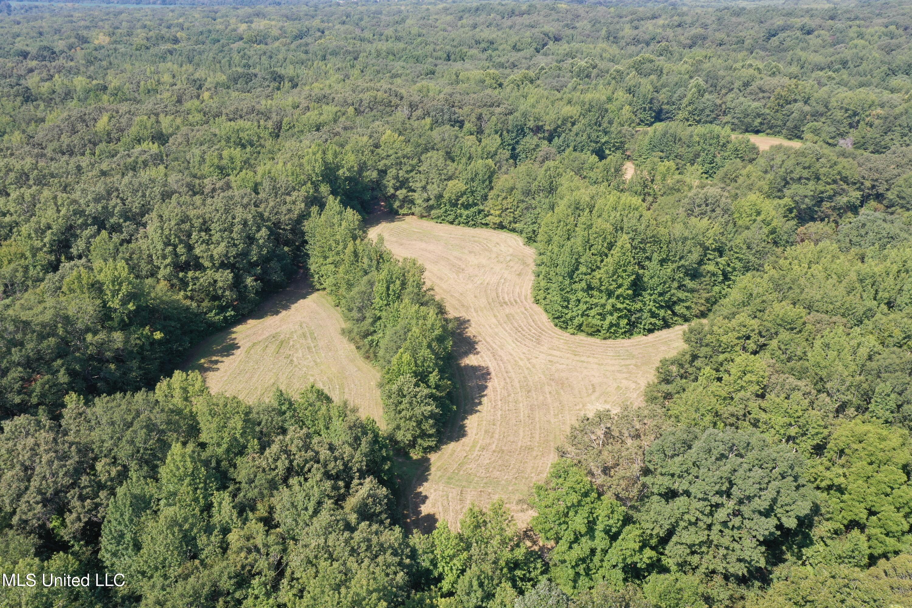 1520 Wildcat Bottom Road Red Banks, MS 38661 - Photo 29 of 42 DJI_0245