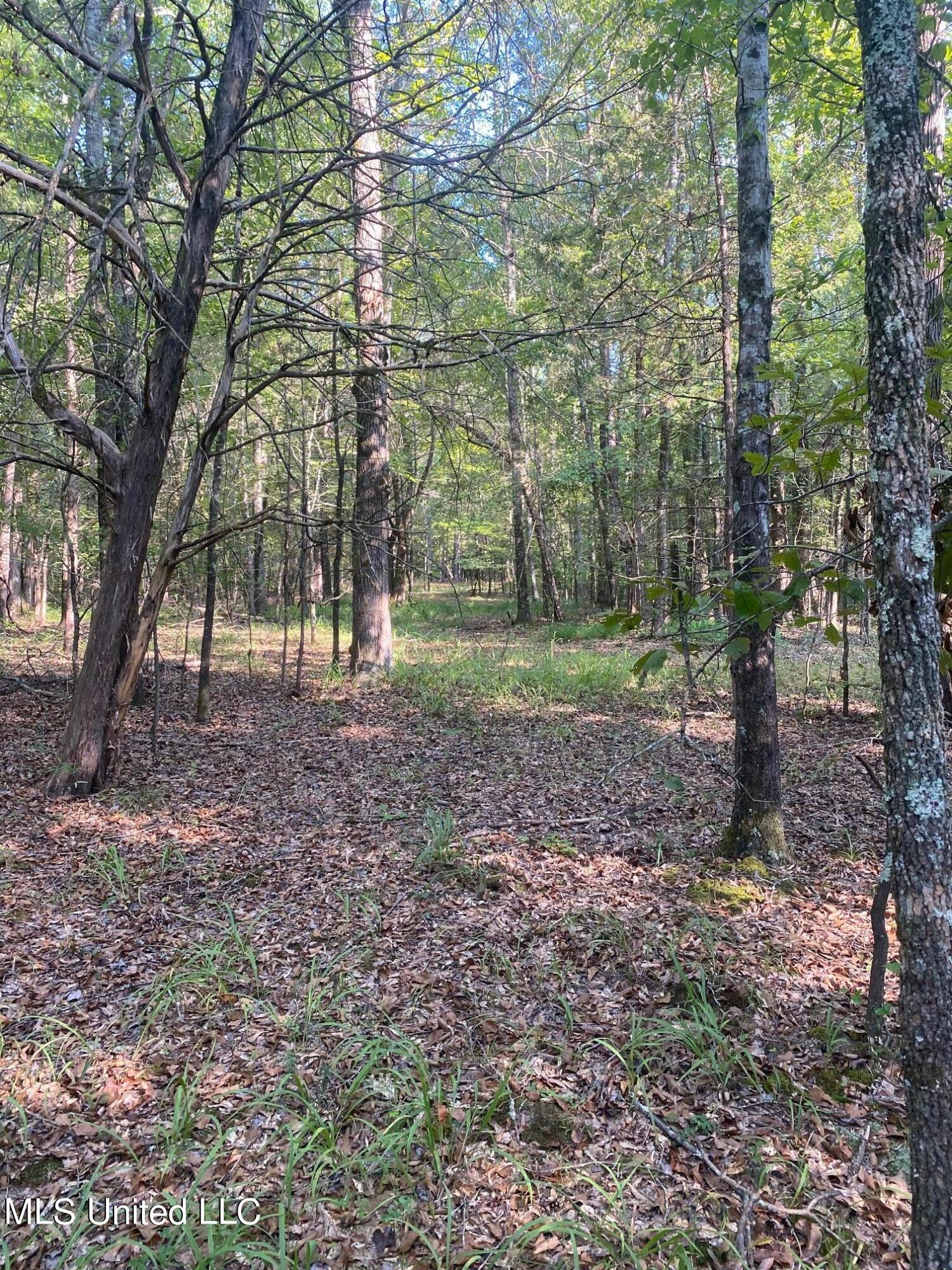 1520 Wildcat Bottom Road Red Banks, MS 38661 - Photo 34 of 42 IMG_4531