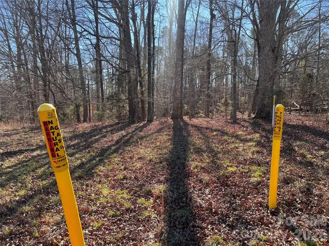 $1,250,000 | 996 Split Trail, Clover, SC 29710