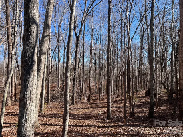 $1,250,000 | 996 Split Trail, Clover, SC 29710