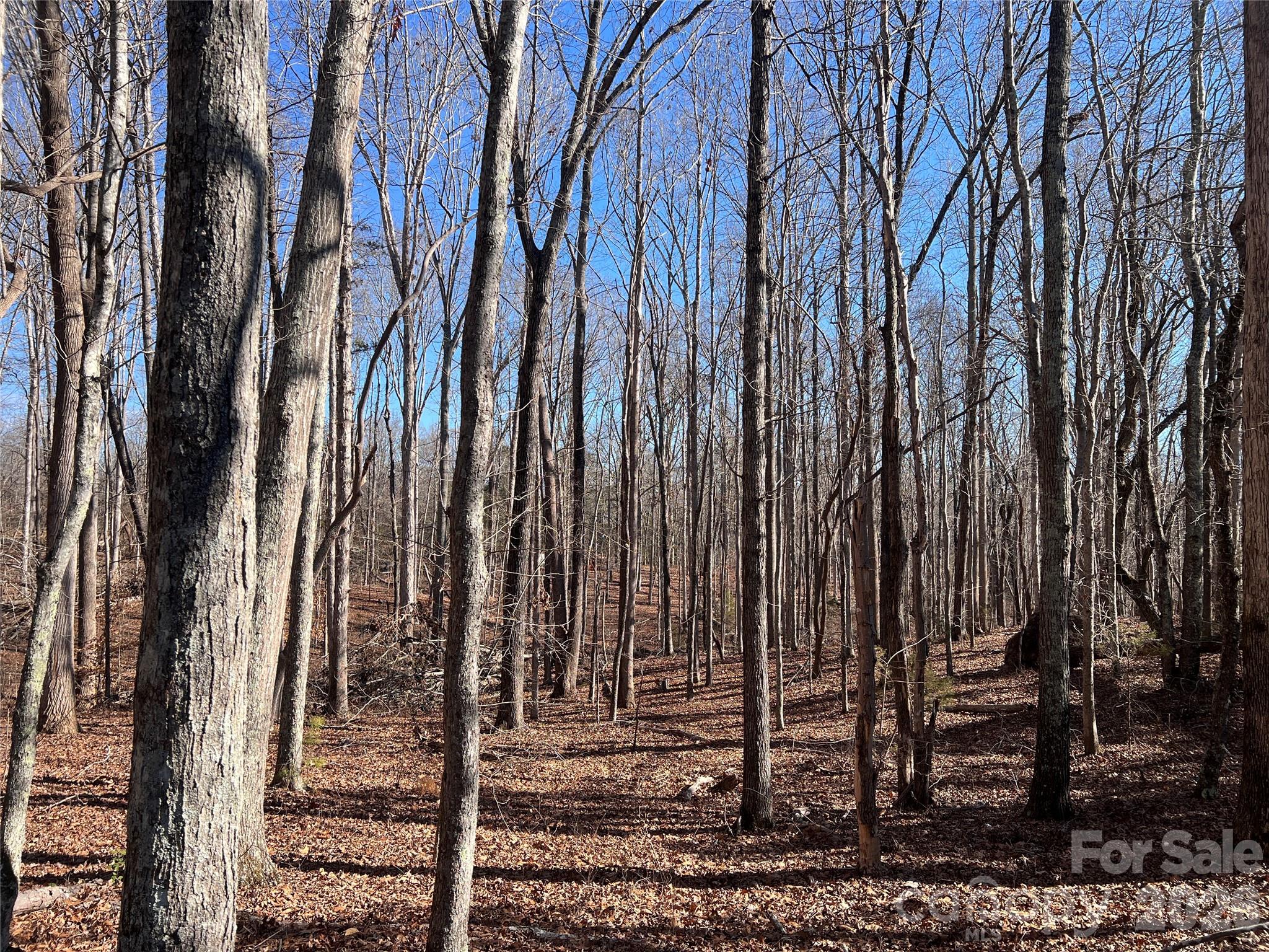 996 Split Trail Clover, SC 29710 - Photo 14 of 45