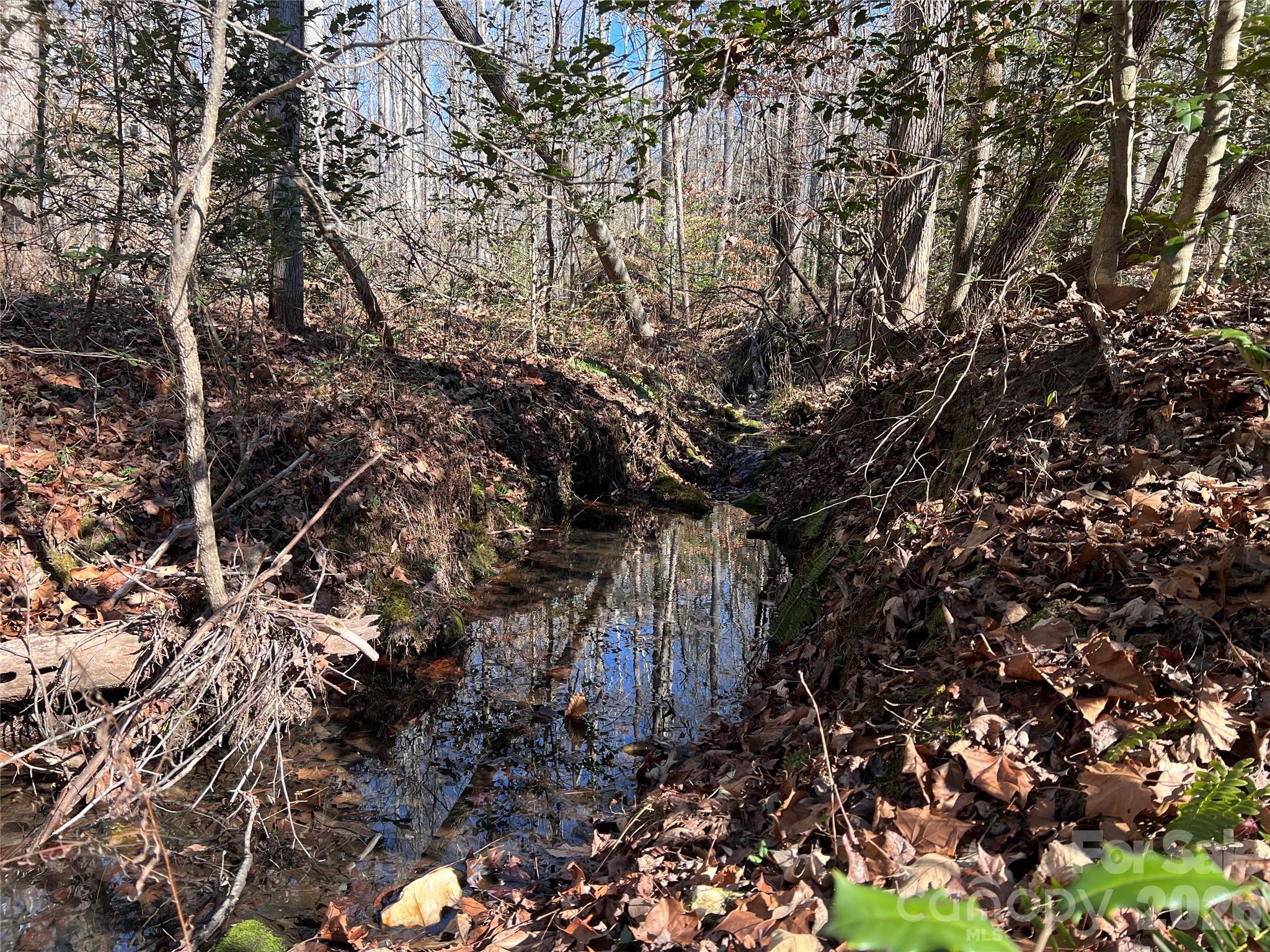 996 Split Trail Clover, SC 29710 - Photo 19 of 45