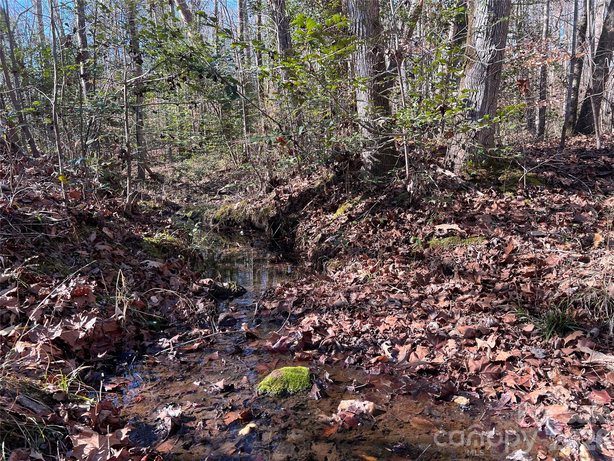 996 Split Trail Clover, SC 29710 - Photo 20 of 45