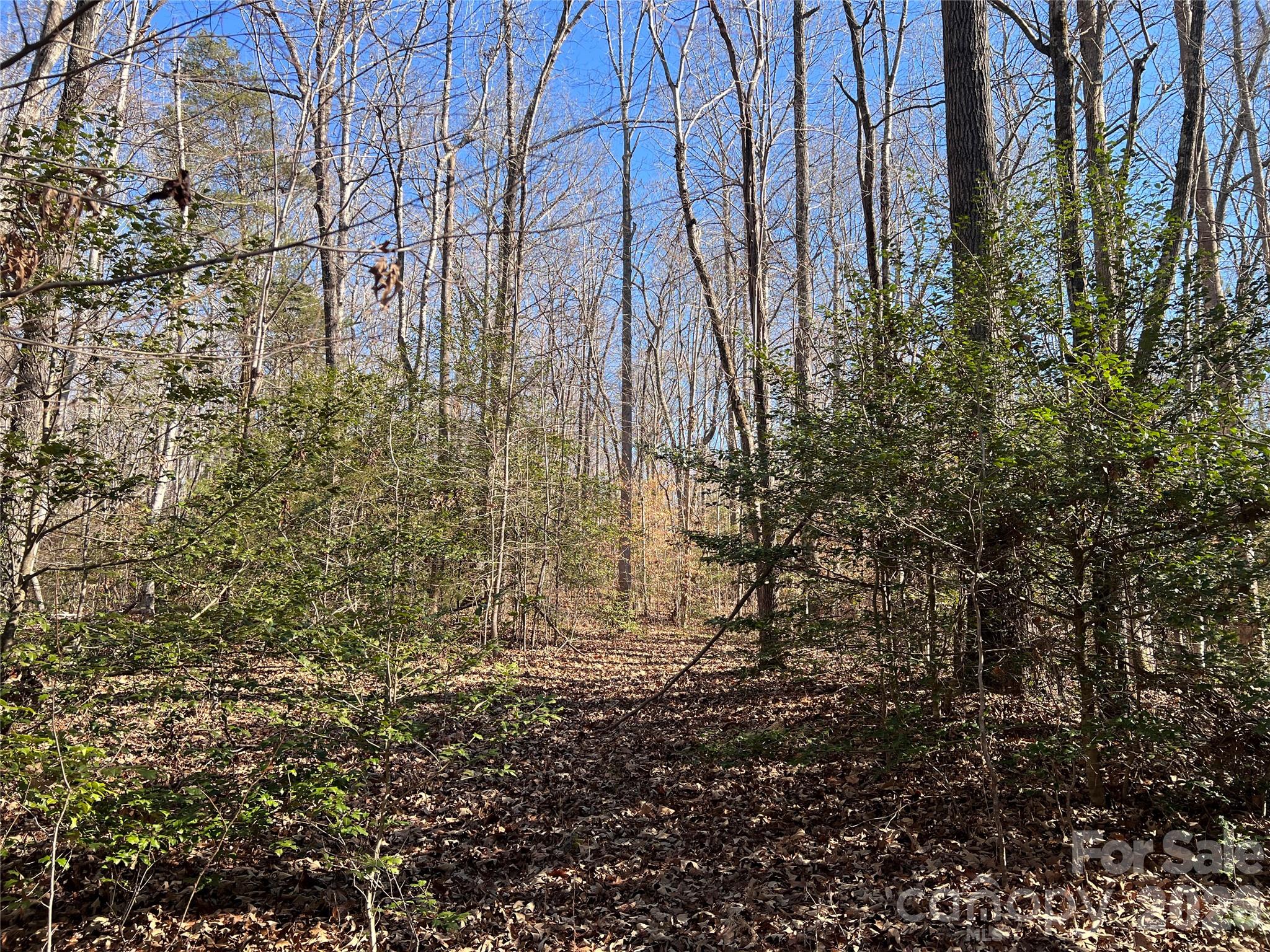 996 Split Trail Clover, SC 29710 - Photo 21 of 45