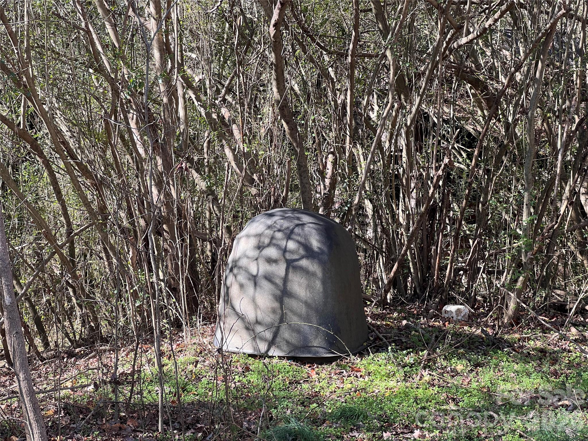 996 Split Trail Clover, SC 29710 - Photo 33 of 45