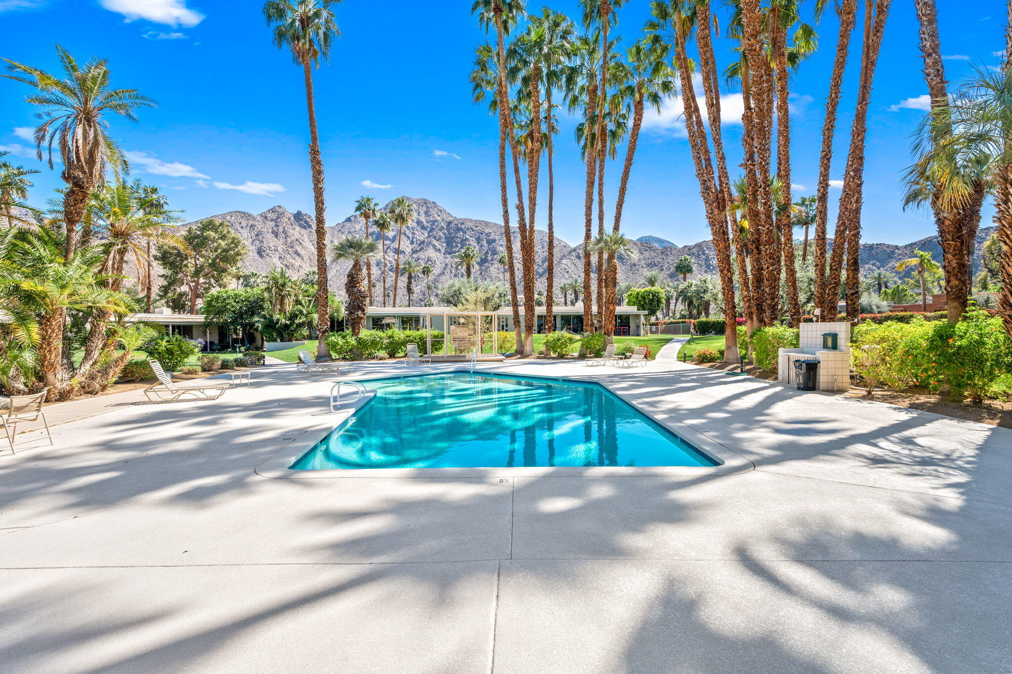 45835 Pawnee Road Indian Wells, CA 92210 - Photo 46 of 46 a view of yard with palm trees