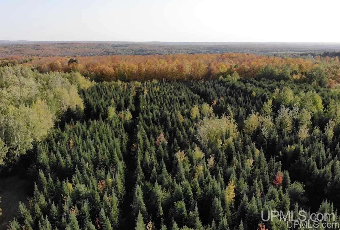 12939 Pelto Road Baraga, MI 49908 - Photo 2 of 36 Gallery Image 2