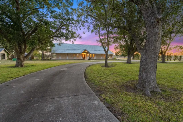 a view of a park with large trees