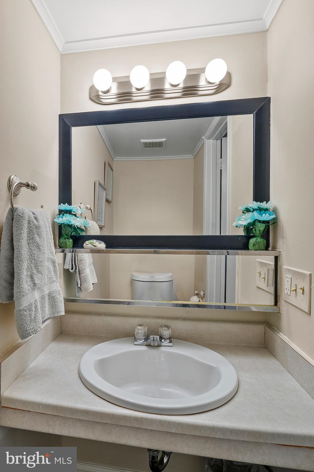 11238 Crystal Run, Unit A Columbia, MD 21044 - Photo 13 of 33 Main level Half Bathroom