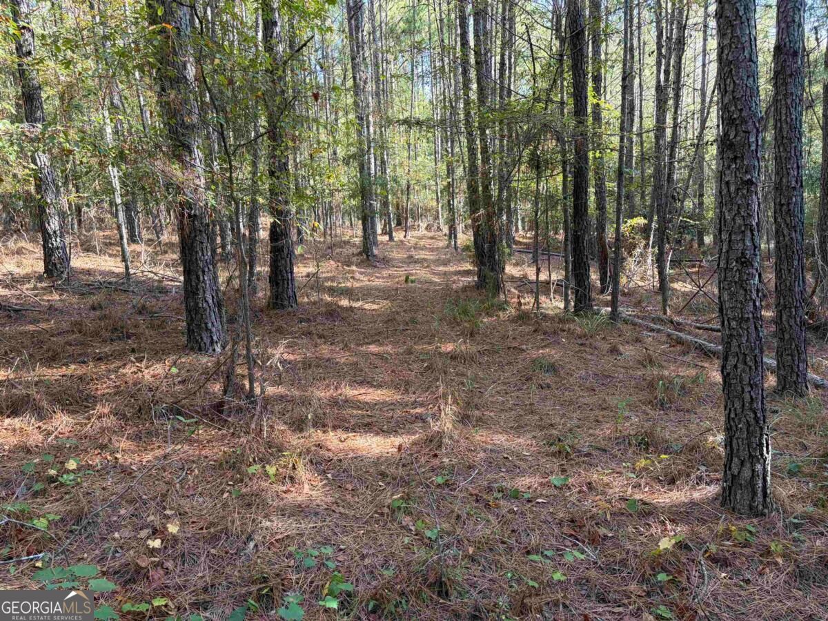 672 Twin Bridges Road Southwest Eatonton, GA 31024 - Photo 2 of 8 Gallery Image 2