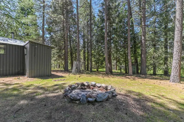 a view of a yard with large trees and wooden fence