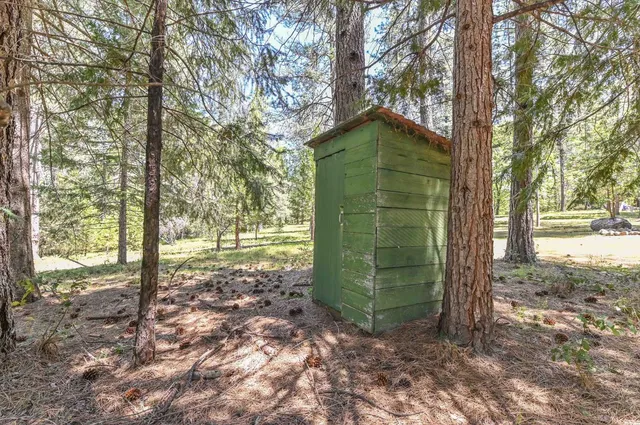 a large tree in the middle of a yard