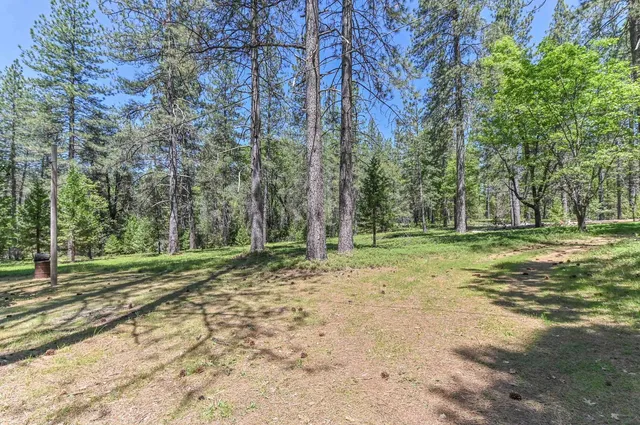 a view of a field with trees in the background