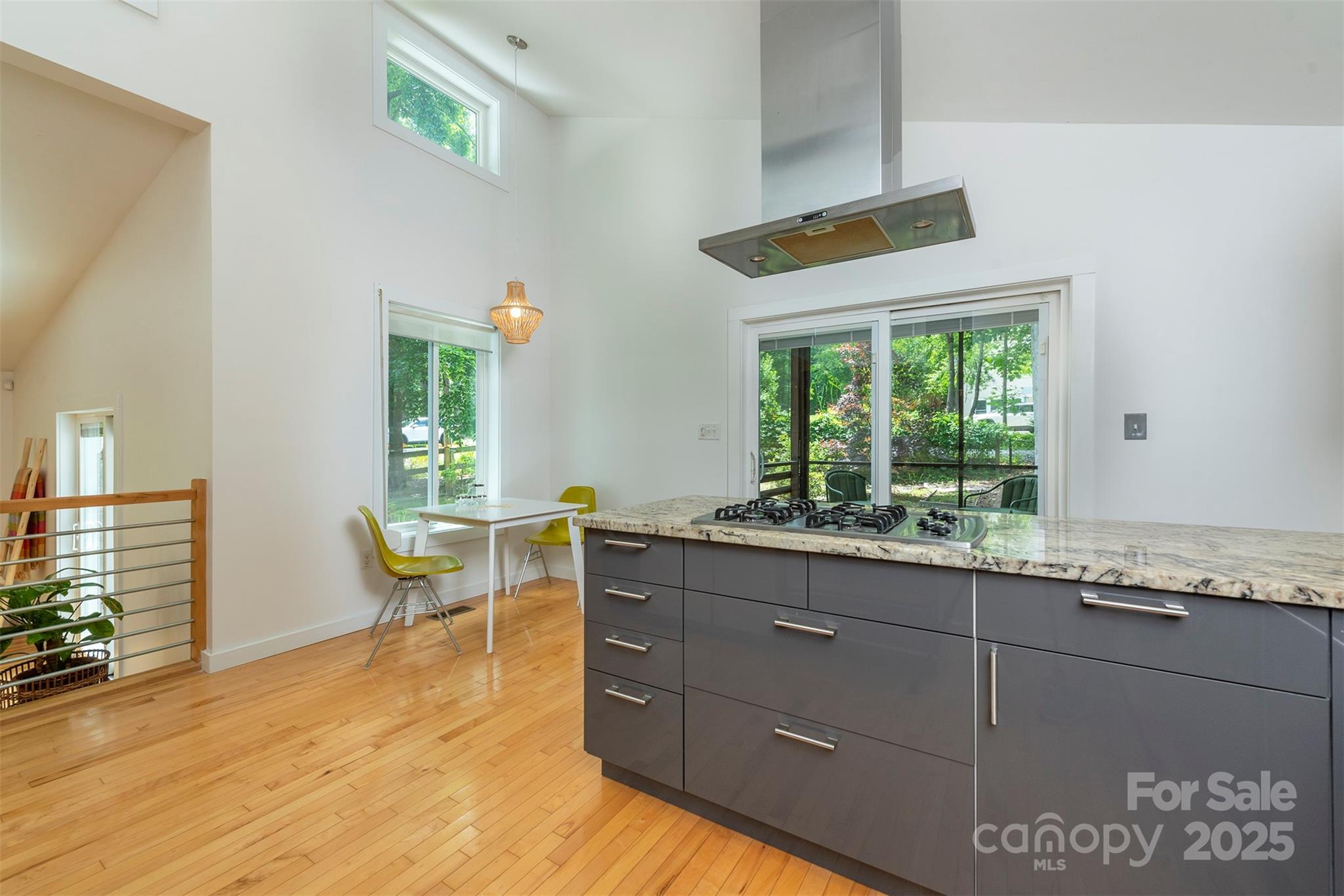 17 Digges Road Asheville, NC 28805 - Photo 18 of 31 Gallery Image 18