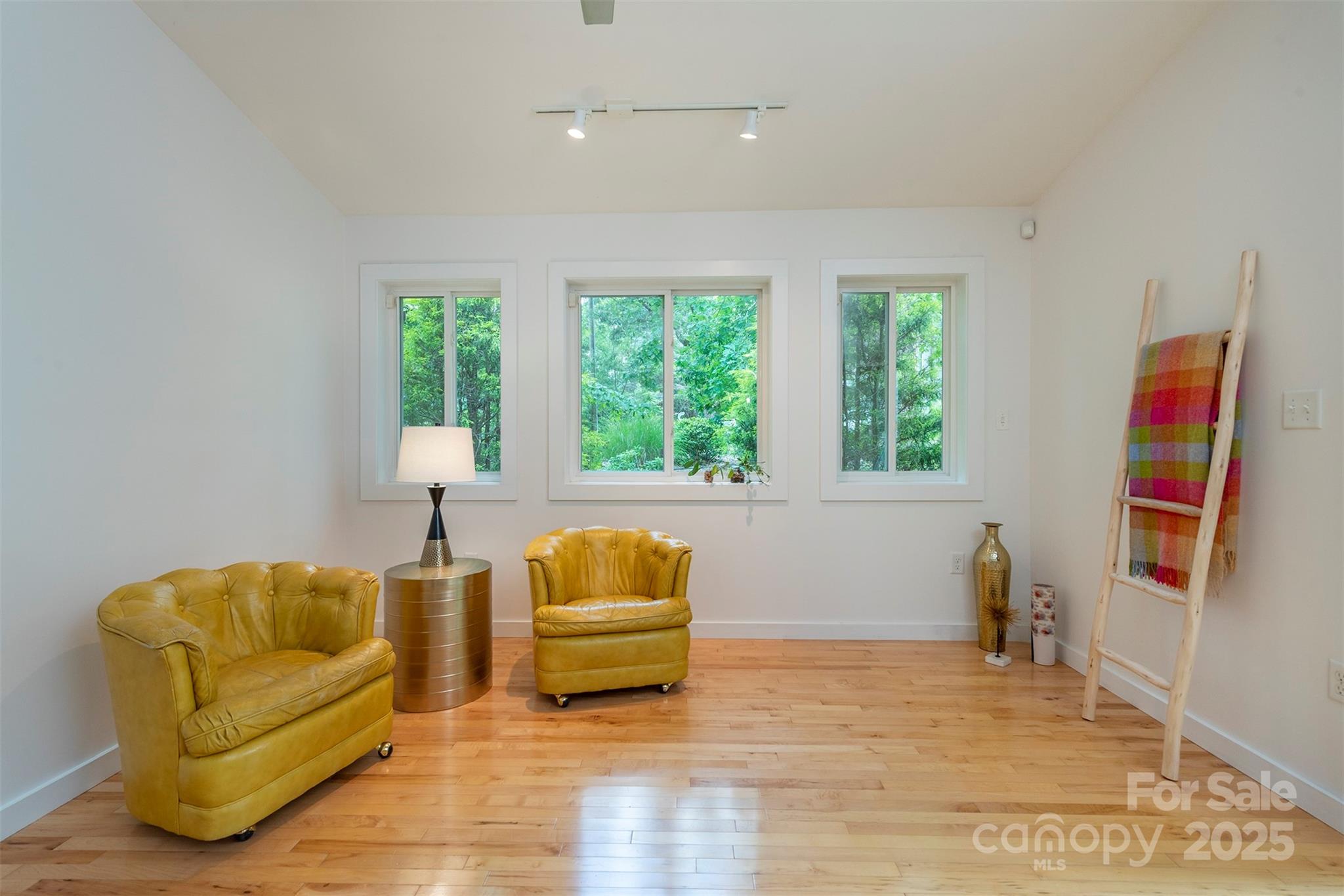 17 Digges Road Asheville, NC 28805 - Photo 3 of 31 Gallery Image 3