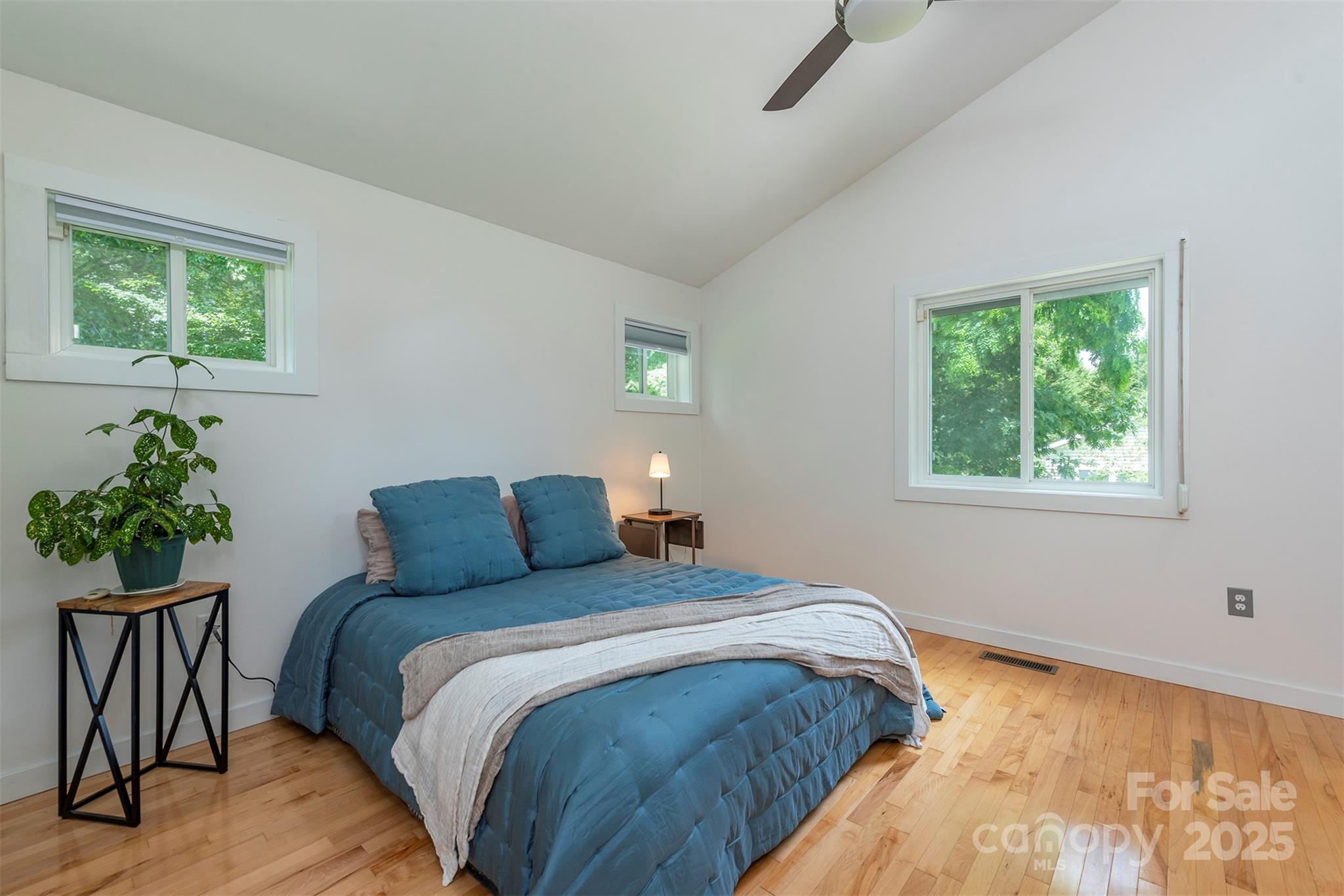 17 Digges Road Asheville, NC 28805 - Photo 4 of 31 Gallery Image 4