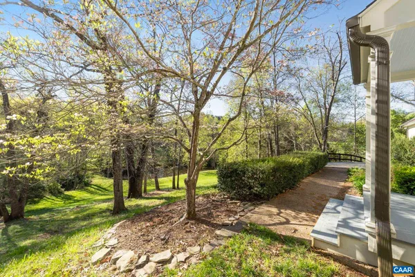a view of a yard with plants and trees