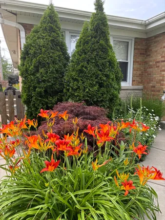 $439,000 | 8136 Kenton Avenue, Skokie, IL 60076