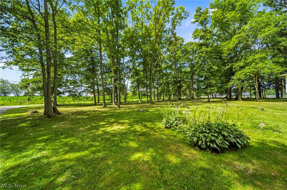 16320 Farley Road Middlefield, OH 44062 - Photo 14 of 35 Gallery Image 14