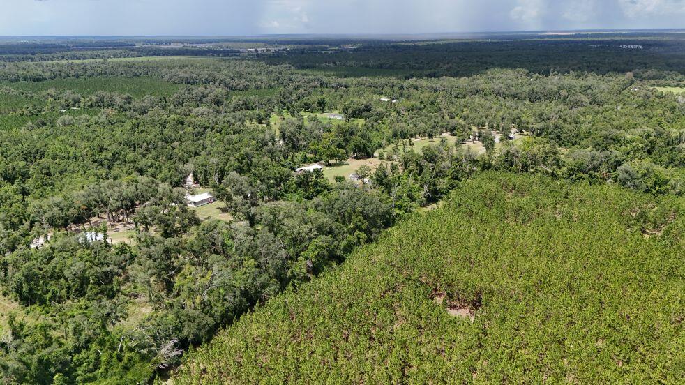 0 185th Road Live Oak, FL 32060 - Photo 21 of 22 22
