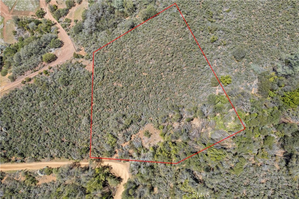 3110 California Street Nice, CA 95464 - Photo 3 of 7 a picture of a tree