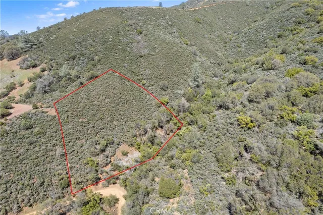 a view of a dry yard