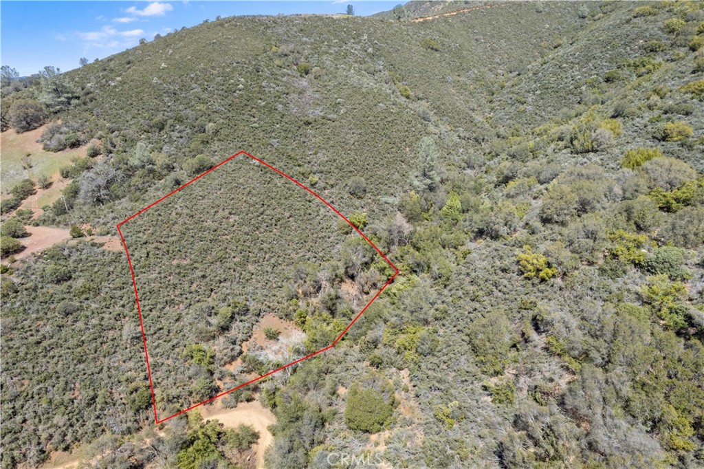 3110 California Street Nice, CA 95464 - Photo 5 of 7 a view of a dry yard