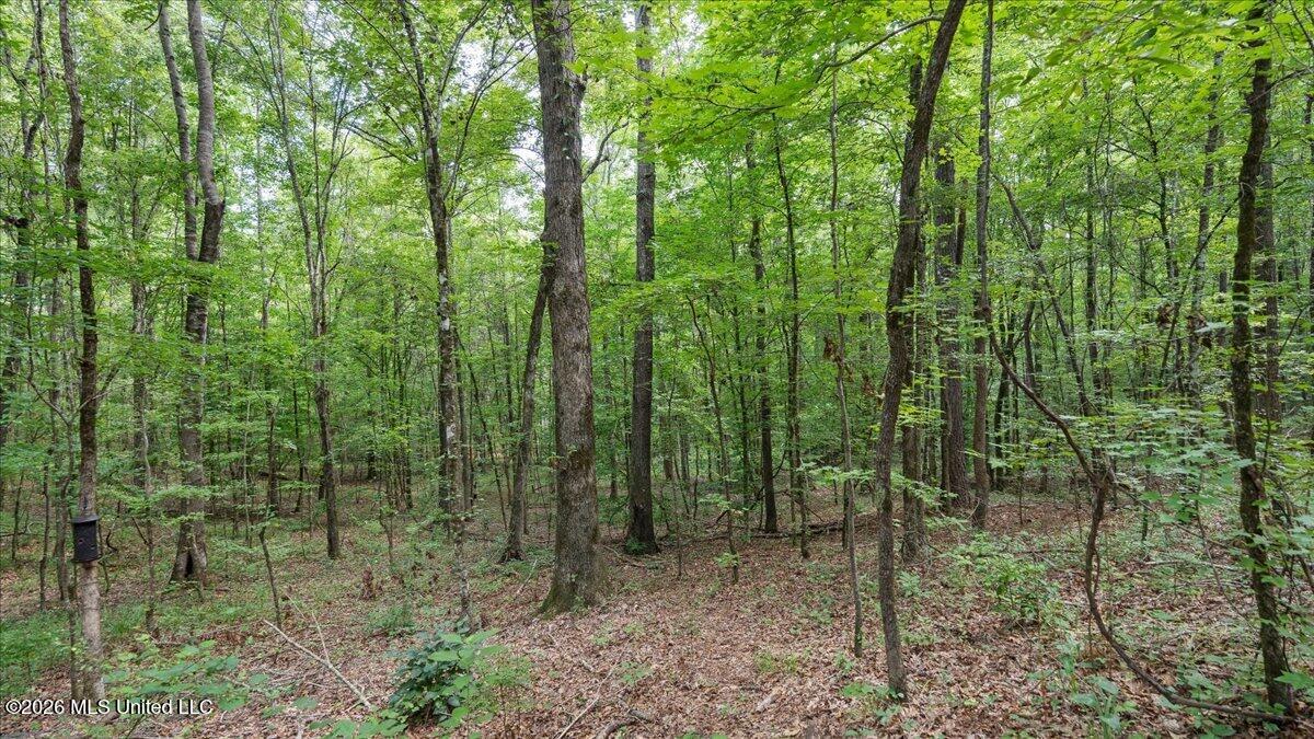 664 Mt Zion Road, Unit 664 Camden, MS 39045 - Photo 26 of 45 22-IMG_3706