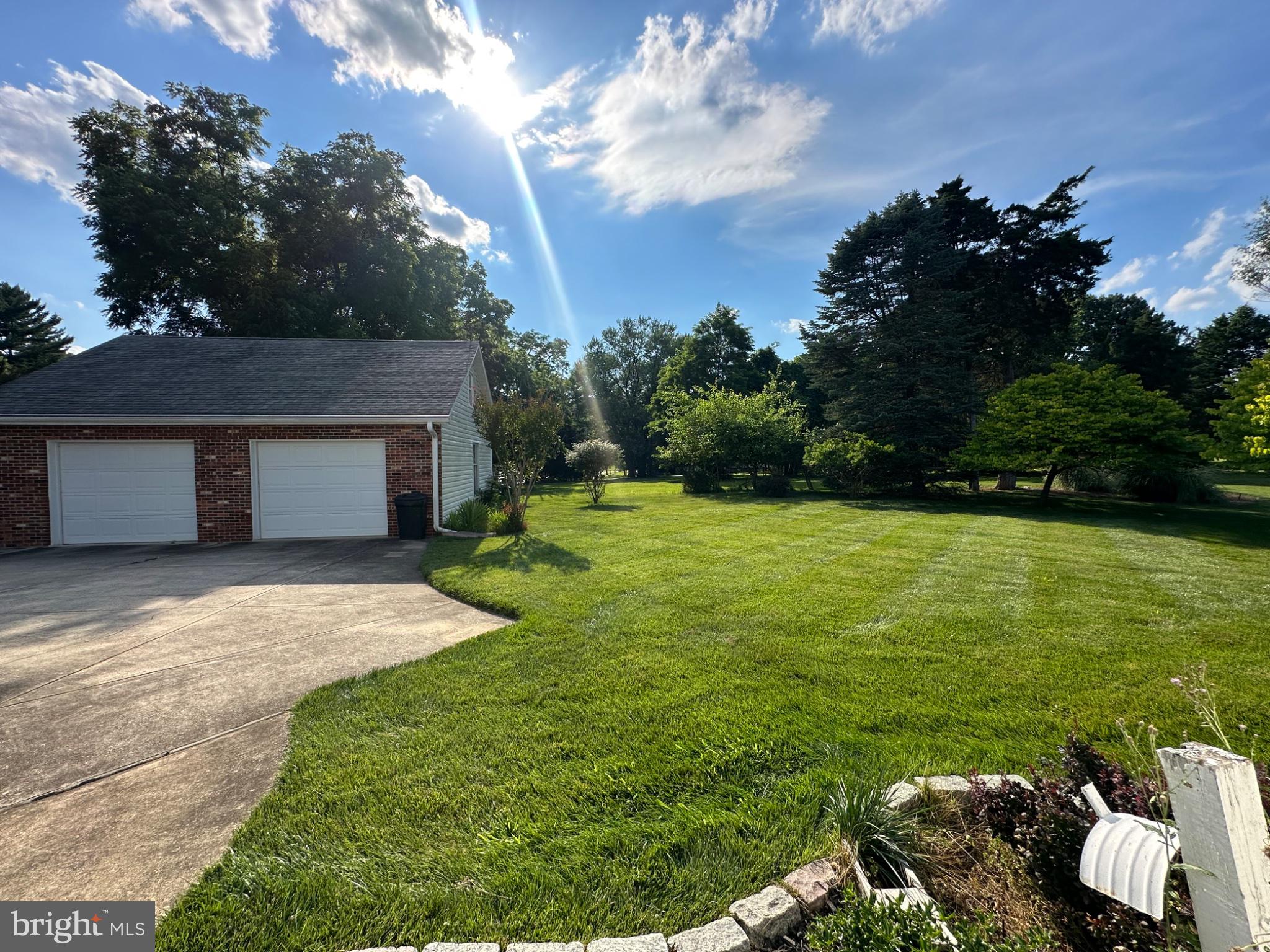 14616 Sturtevant Road Silver Spring, MD 20905 - Photo 37 of 44 Sunny serenity in a lush yard.