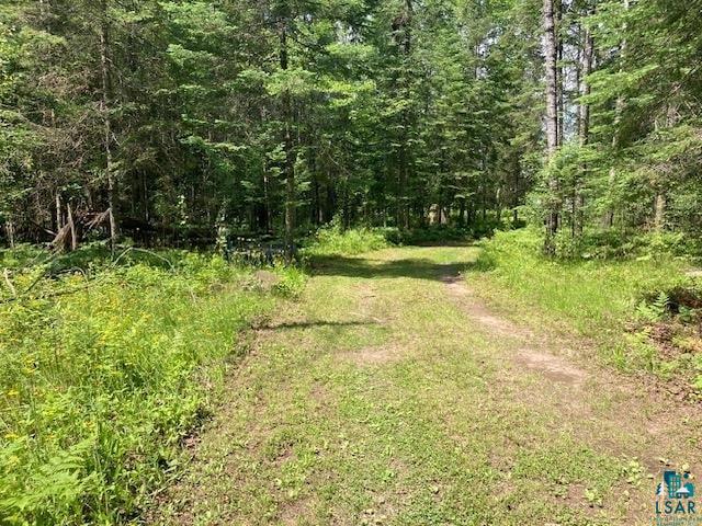 11919 Luna Lake Road Side Lake, MN 55781 - Photo 2 of 23