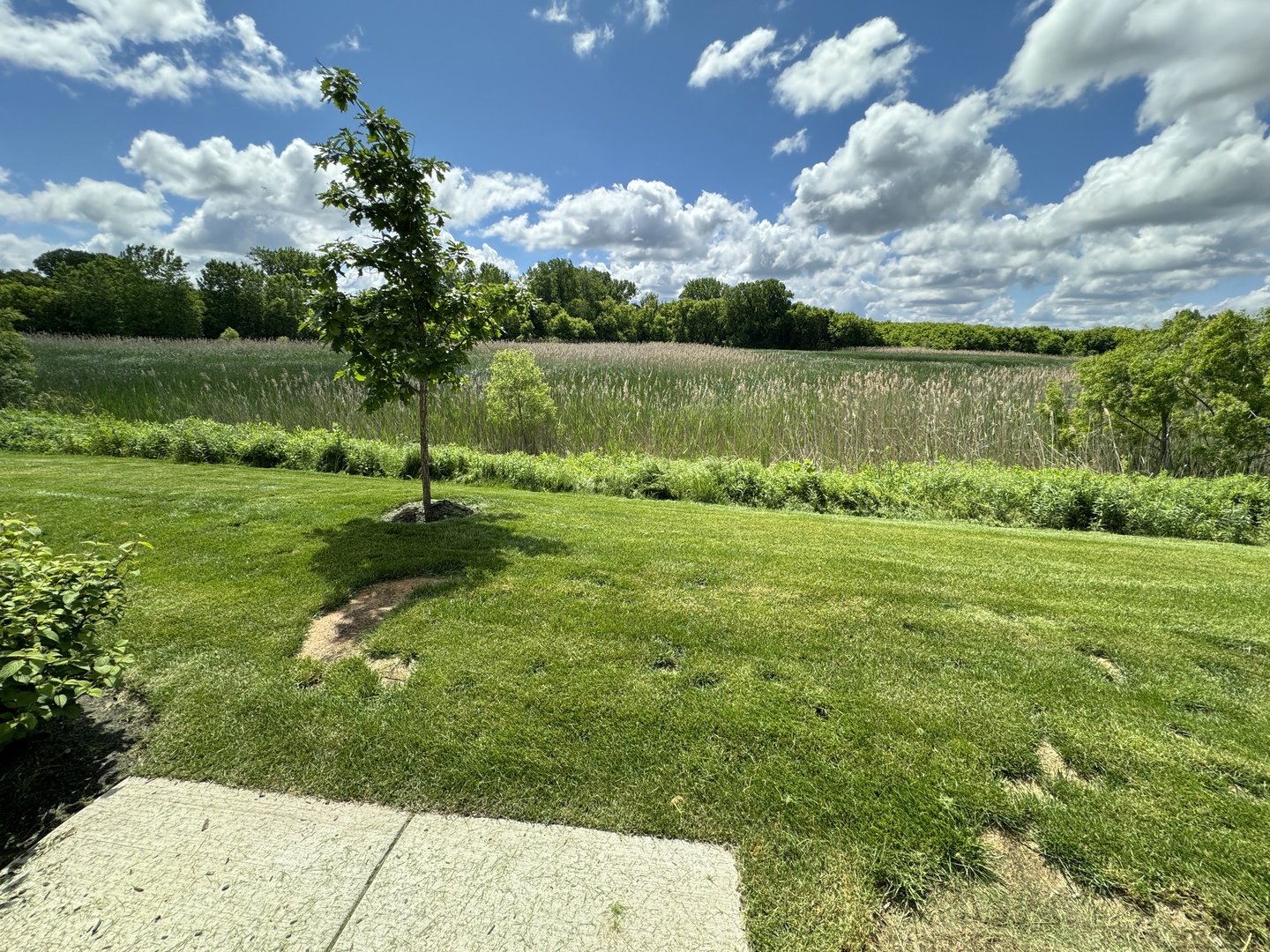1201 Draper Road McHenry, IL 60050 - Photo 13 of 13