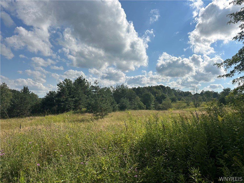 V/l Genesee Road Lawtons, NY 14091 - Photo 6 of 19 Gallery Image 6