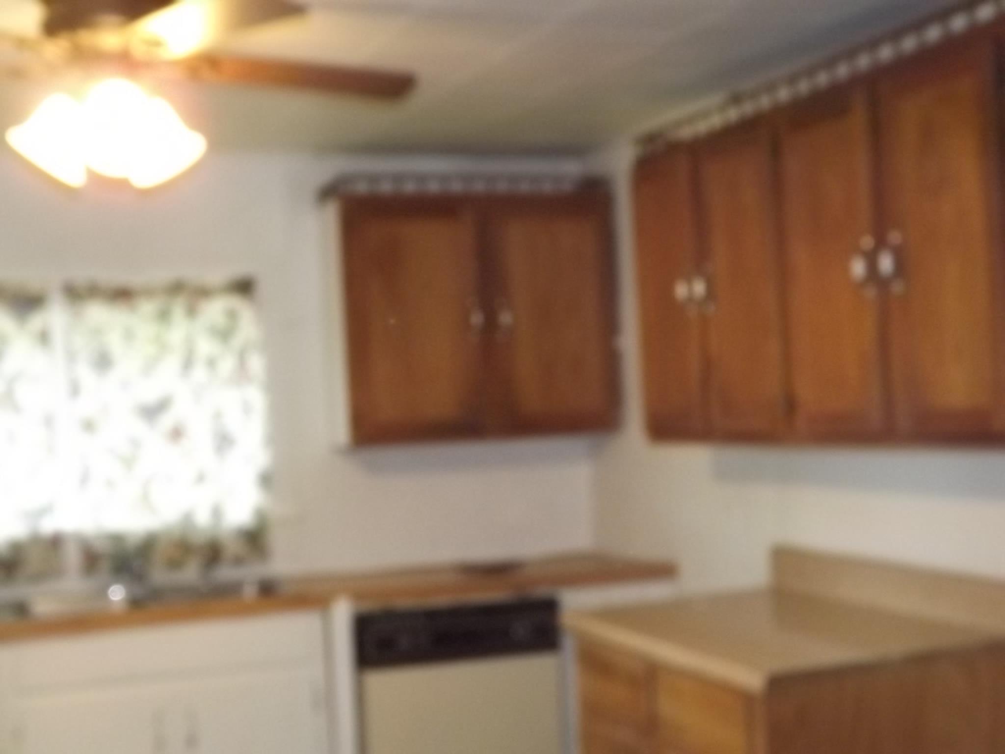 81 Hideout Road Manchester, TN 37355 - Photo 4 of 12 No Appliances with Home
