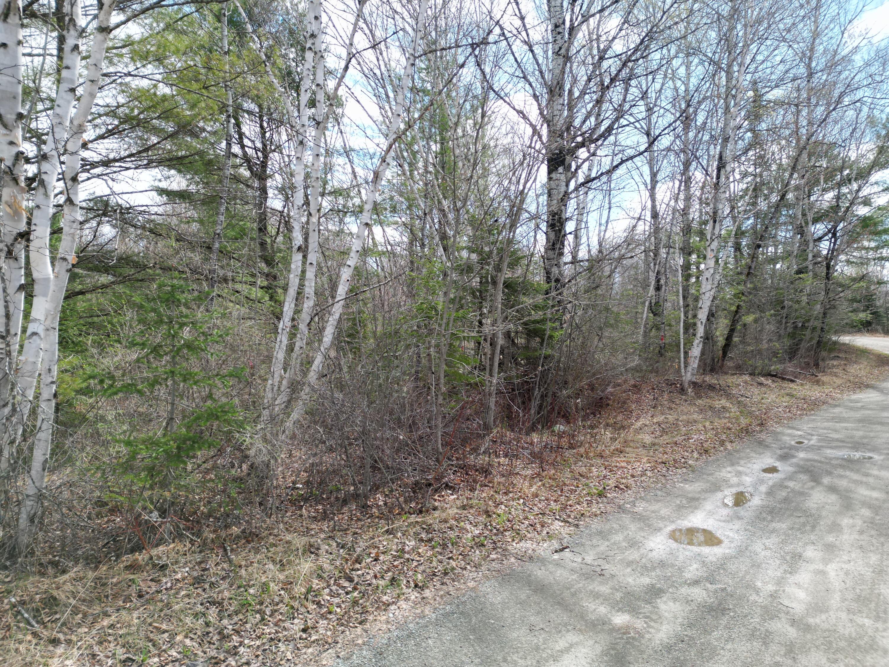Lot 46 Merriman Rd Island Falls Island Falls, ME 04747 - Photo 5 of 16 DJI_0306