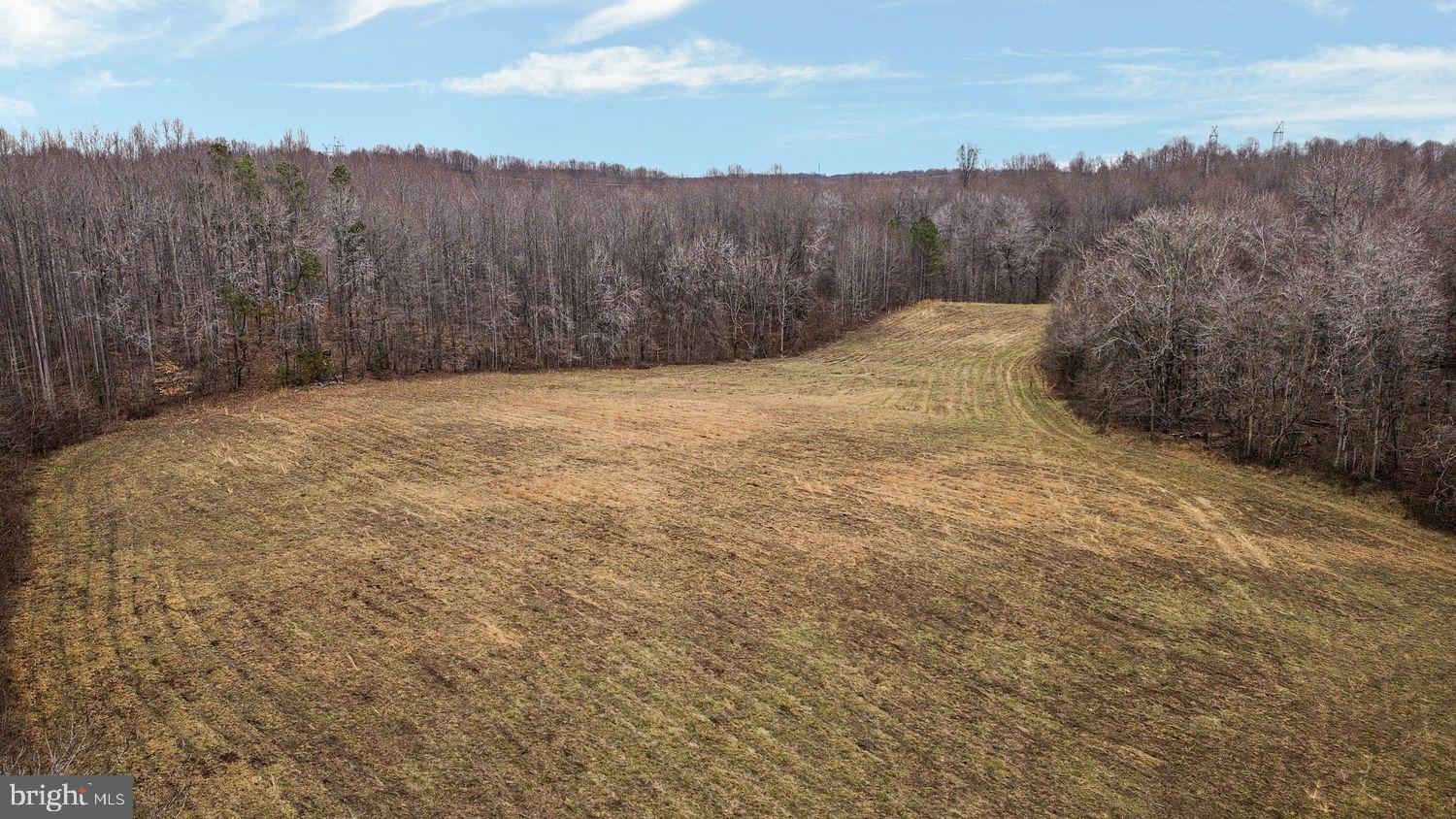 13729 Martin Road Brandywine, MD 20613 - Photo 10 of 11 a view of a backyard of mountain