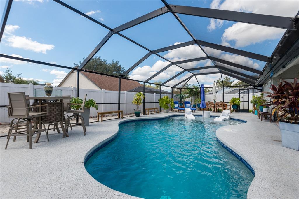 1301 Monte Lake Drive Valrico, FL 33596 - Photo 33 of 36 a view of a swimming pool with a patio